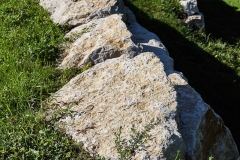 TRIBOULET-53